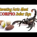 Interesting Facts About SCORPIO Zodiac Sign