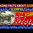 AMAZING FACTS About SCORPIO !