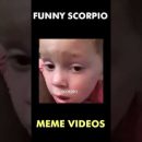 Zodiac Sign TikTok #Shorts ♏ FUNNIEST Scorpio Memes – (Part 10) ♏🤣