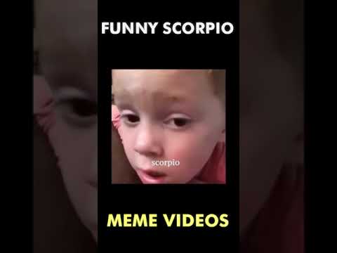 Zodiac Sign TikTok #Shorts ♏ FUNNIEST Scorpio Memes – (Part 10) ♏🤣