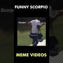 Zodiac Sign TikTok #Shorts ♏ FUNNIEST Scorpio Memes – (Part 7) ♏🤣
