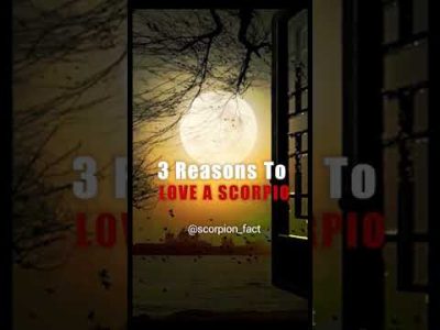 Scorpio Facts 3 Reasons to Love a Scorpio #astrology #scorpio #zodiac #foryou #scorpion #reel