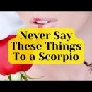 Never Say These Things To a Scorpio