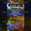 Scorpion? 👇 #shorts #facts #scorpio #zodiac #usa