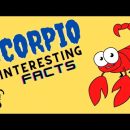 8 Interesting Facts about Scorpio Zodiac Sign | Facts that will blow your mind!
