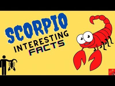 8 Interesting Facts about Scorpio Zodiac Sign | Facts that will blow your mind!