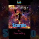 Top 10 Reasons You’re a Scorpio, Zodiac signs, Scorpio, Shorts