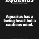 Aquarius – Zodiac City
