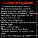 Aquarius Open Corner | True
