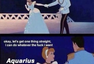 50 Best Aquarius Memes That Describe This Zodiac Sign