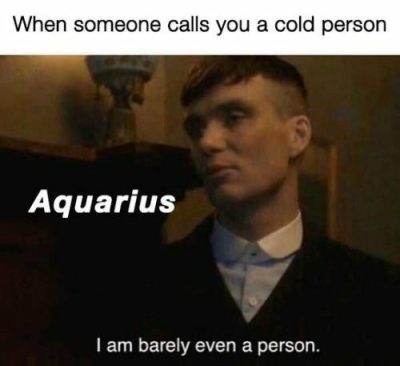 50 Best Aquarius Memes That Describe This Zodiac Sign