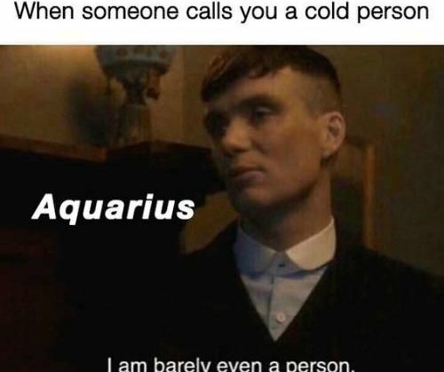 50 Best Aquarius Memes That Describe This Zodiac Sign