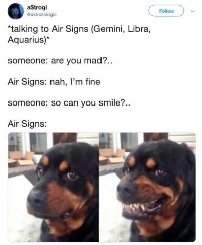 50 Best Aquarius Memes That Describe This Zodiac Sign