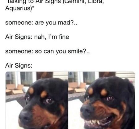 50 Best Aquarius Memes That Describe This Zodiac Sign