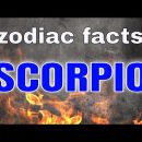 SCORPIO Zodiac Sign Personality Traits