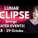 HOROSCOPE READINGS FOR ALL ZODIAC SIGNS – Lunar Eclipse brings fated events!