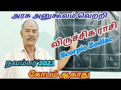 November month palangal|விருச்சிக ராசி நவம்பர் 2023|ViruchigaRasi November month palan|ScorpioZodiac