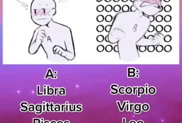 Pin by Erjonakrasniqi on dream✨ | Compatible zodiac signs, Zodiac signs funny, Zodiac signs