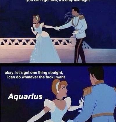 50 Best Aquarius Memes That Describe This Zodiac Sign