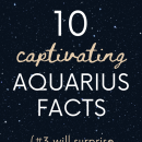 Aquarius Zodiac Facts: 10 Truths About This Astrology Sign in the Horoscope