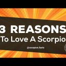 3 Reasons To Love A Scorpio   Zodiac sign Astrology Scorpion Facts