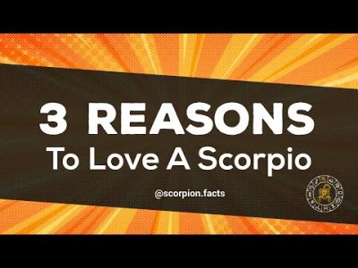 3 Reasons To Love A Scorpio   Zodiac sign Astrology Scorpion Facts