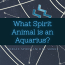 What is Aquarius’s Spirit Animal? [Zodiac Spirit Animals Series]