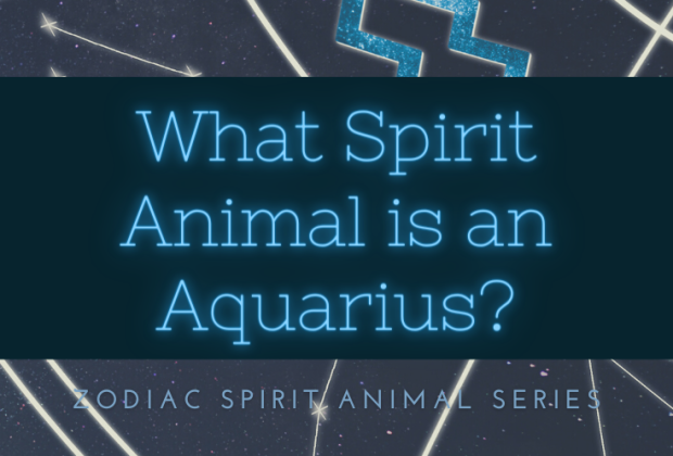 What is Aquarius’s Spirit Animal? [Zodiac Spirit Animals Series]