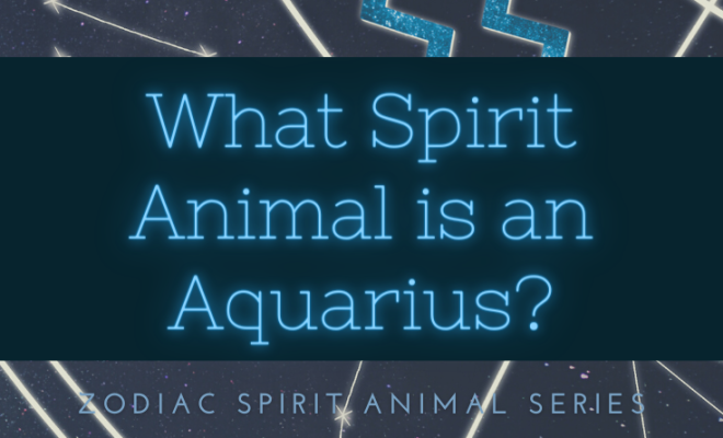 What is Aquarius’s Spirit Animal? [Zodiac Spirit Animals Series]
