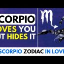 20 Signs Scorpio Man Likes You But Can’t Tell You