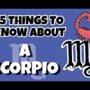 15 Things to know about a SCORPIO Zodiac Sign || ZODIACMORE