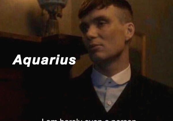 32 Funny Aquarius Memes That Are Basically Aquarian Facts