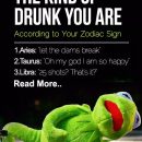 The Kind Of Drunk You Are Based On Your Zodiac Sign