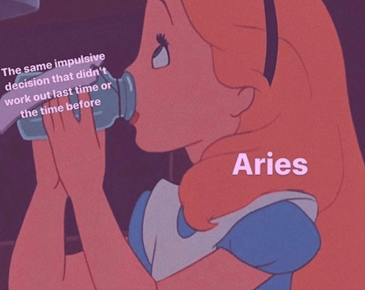 50 Best Aries Memes That Describe This Zodiac Sign