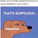 19 Funny Aquarius Memes for the Most Creative Air Sign