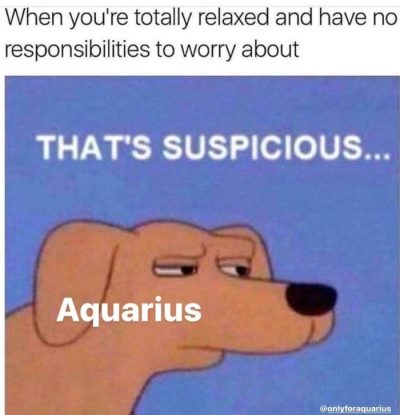 19 Funny Aquarius Memes for the Most Creative Air Sign