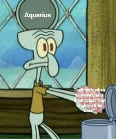 50 Best Aquarius Memes That Describe This Zodiac Sign