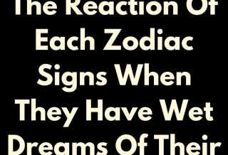 The Reaction Of Each Zodiac Signs When They Have Wet Dreams Of Their Ex In 2024!