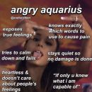 61 Funny Aquarius Memes | Zodiac Season from January 20 – February 18