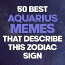 50 Best Aquarius Memes That Describe This Zodiac Sign