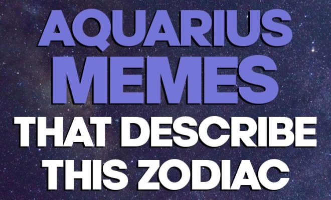 50 Best Aquarius Memes That Describe This Zodiac Sign