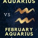 January Aquarius Vs February Aquarius