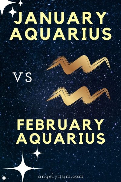 January Aquarius Vs February Aquarius