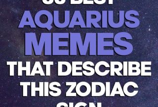 50 Best Aquarius Memes That Describe This Zodiac Sign