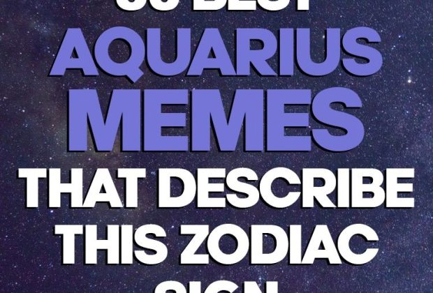 50 Best Aquarius Memes That Describe This Zodiac Sign