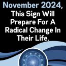 October To November 2024, This Sign Will Prepare For A Radical Change In Their Life.