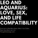 Leo And Aquarius: Love, And Life Compatibility