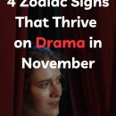 4 Zodiac Signs That Thrive on Drama in November