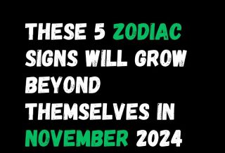 These 5 Zodiac Signs Will Grow Beyond Themselves In November 2024