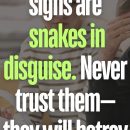 These zodiac signs are snakes in disguise. Never trust them—they will betray you.